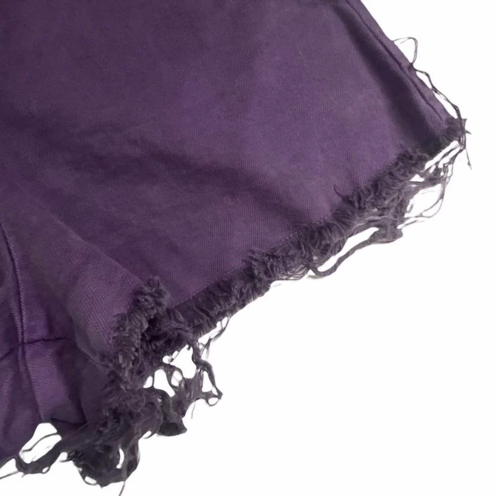 Urban Renewal Plum‎ High Waisted Purple Shorts Summer Medium Pocket